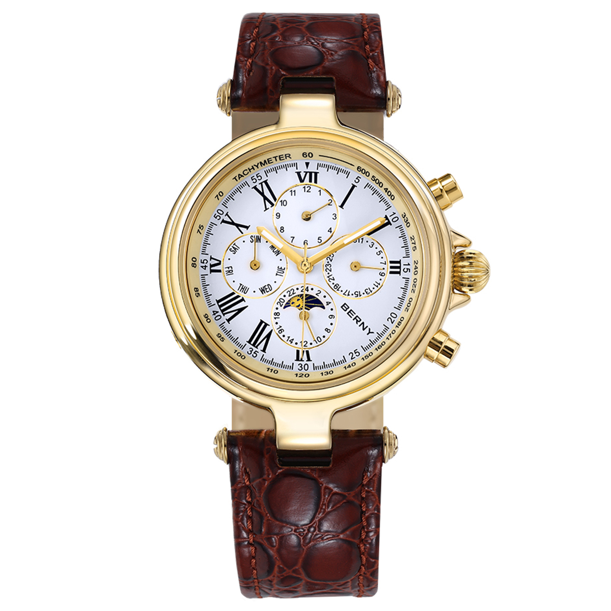 BERNY Retro Automatic Men's Wa - огляд і ціна Seiko Watch Prospex